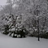 Gyerekkarácsony – Hull a hó, hull a hó…