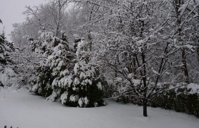Gyerekkarácsony – Hull a hó, hull a hó…