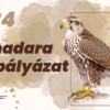 A Magyar Madártani és Természetvédelmi Egyesület rajzpályázata