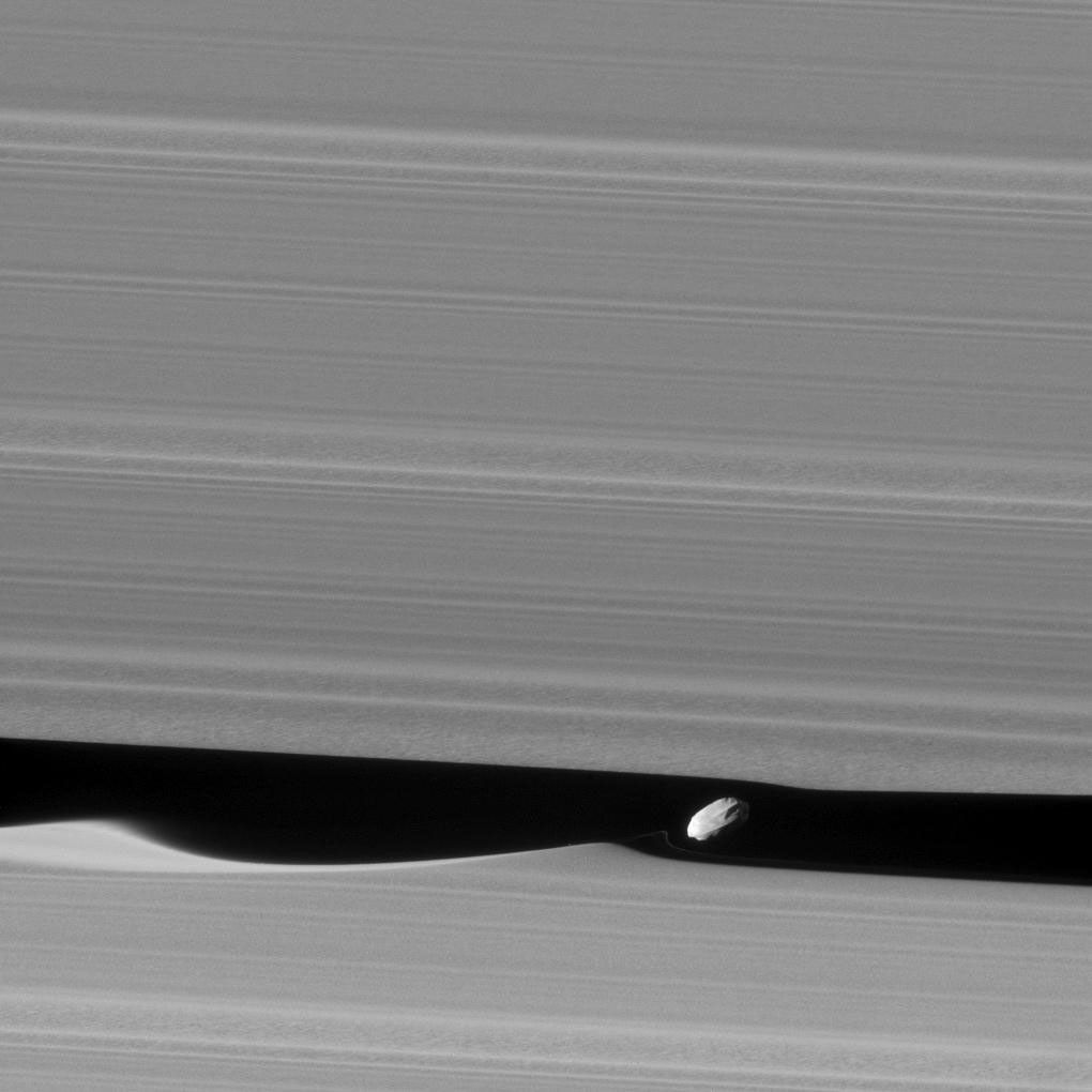 Daphnis