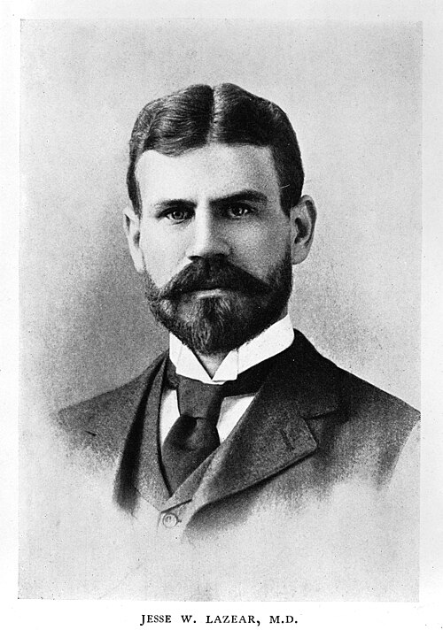 Jesse William Lazear szúnyogok 